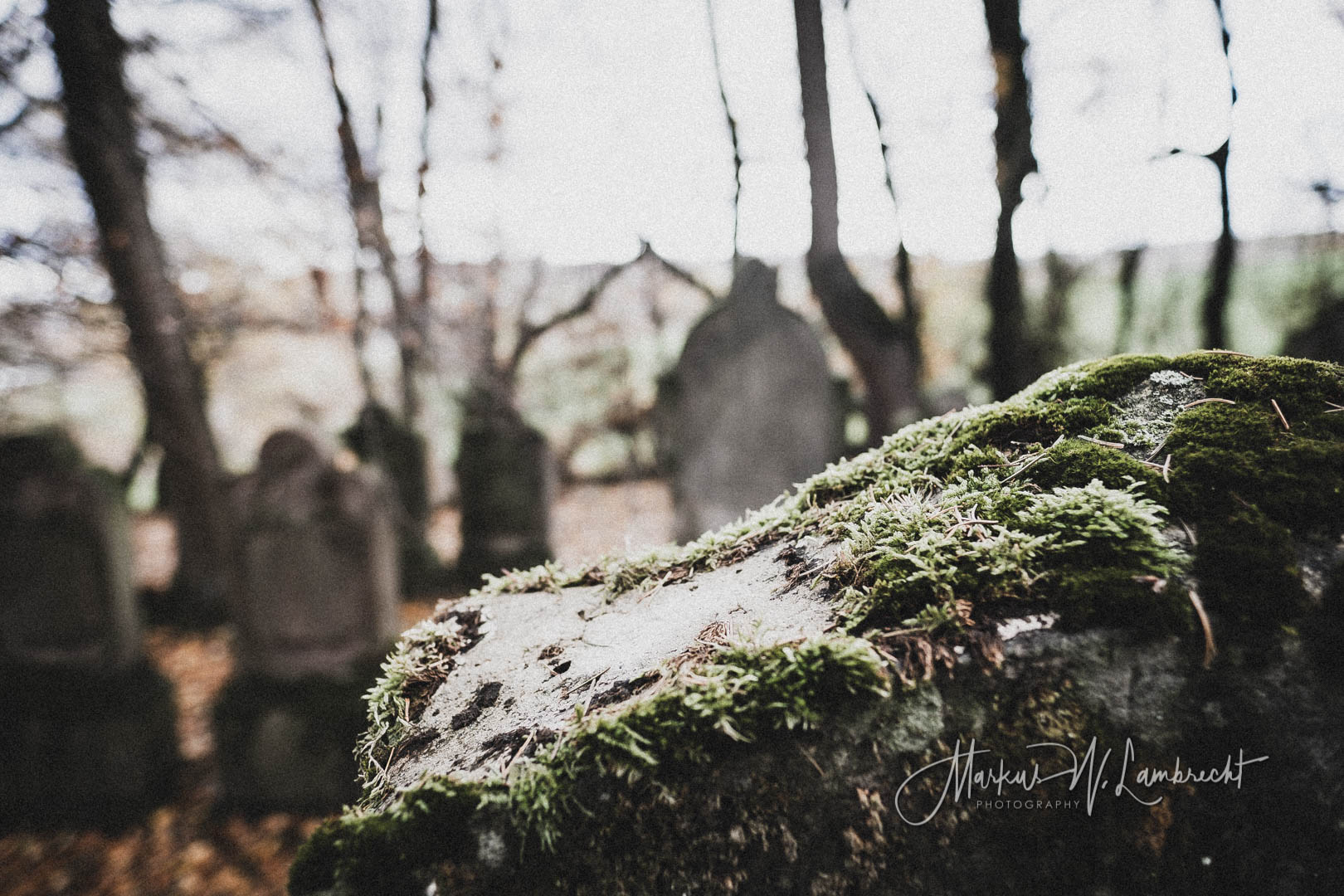 Dransfeld, Jüdischer Friedhof